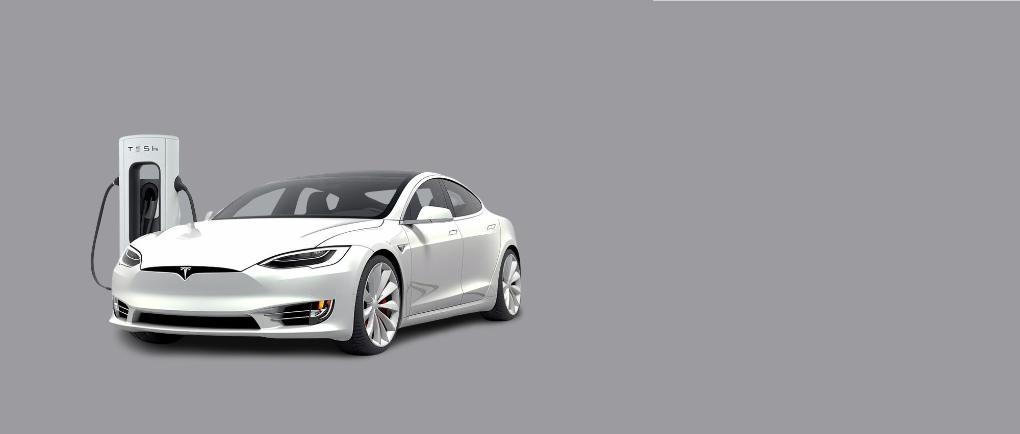 -Andreas-Volz---Pixabay-1-removebg